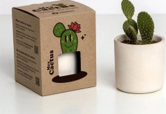 RESETEA, FRU Mrs. CACTUS 8,5X10,7X8,5CM, HEM, IDEE GÅVA