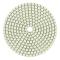 DIAMANTSLIPSKIVA 100 MM #3000