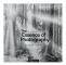 The Essence of Photography (häftad, eng)