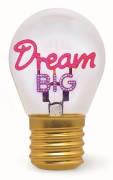 Bulb Fiction - Dream Big