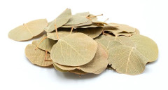 BioCoin Leafs Myntblad 15g