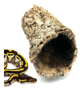 BioCork Tube XXL Kork Ek Tube