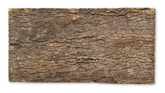 BioVirgin korkbakgrund mörk 60x30cm korkbakgrund för terrarier