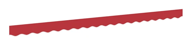 Markisvalance Röd 3.3 x 0.2 m Kanvas