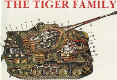 The Tiger Family