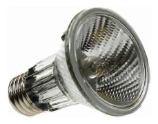 Halogenstrålkastare HI Spot 63 PAR20 220V 50W Glödlampa-FA-