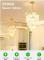 AIDUCHO G9 Halogenlampor 40W, 2-Pin Transparent Kapsel, Varmvit 2700K, Dimbar - Kompatibel med Philips (10-pack)