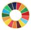 17 färger UN SDG Pin-emblem (guld, silver)