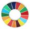 17 färger UN SDG Pin-emblem (guld, silver)