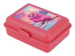 Lunchbox - BAAGL - Uggla - Fack - Vattentät - 300 ml