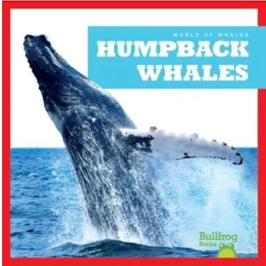 Humpback Whales (inbunden, eng)