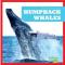 Humpback Whales (inbunden, eng)