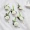 Blomsterskum Corsage Bröllopsblommor För Bröllop (Vit, 6-pack)