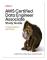 AWS Certified Data Engineer Associate Study Guide