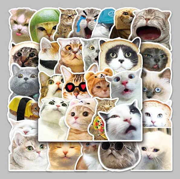 /EA/50 st söta katt-emojis