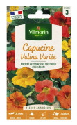 Fröblandning - VILMORIN - Kapuzinerkresse Valina - Exceptionell blomning - Höjd 30cm - Fattig jord