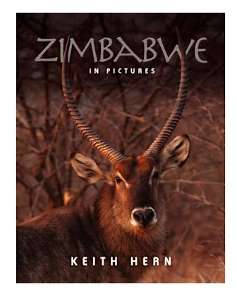 Zimbabwe in Pictures (häftad, eng)