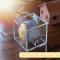 Baseboll Display Kub - Transparent Displayfodral