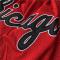 Nba Chicago Bulls Horts Broderade Ports Basketboll Horts Röd