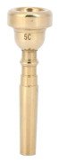 Horn Munstycke Guldpläterad Mässing Trumpet Munstycke 5c Trumpet Munstycke Musikinstrument Tillbehör