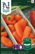 Snackpaprika Hamik - Capsicum annuum Hamik