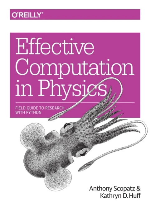 Effective Computation in Physics (häftad, eng)