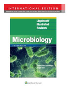 Lippincott® Illustrated Reviews: Microbiology (häftad, eng)
