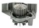 VATTENPUMP A310052P DENCKERMANN