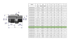 Hydraulisk kontakt BB 3/4""UNF (JIC) x M16x1.5 (XGE) Waryński (säljs i set om 2)