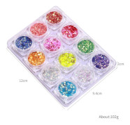 12 Delar Nagelkonst Pulver DIY Nageldekoration Glitterfärg Lämplig för Nagelsalong