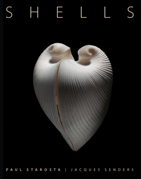 Shells (inbunden, eng)