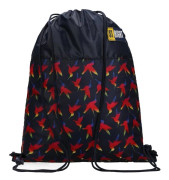 ST.RIGHT SO-01 shoe bag Rainbow birds