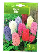 Hyacintmix 3 st Benex