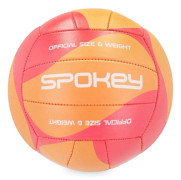 Bulletvolleyboll