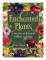 Enchanted Plants (inbunden, eng)