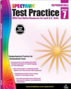 Spectrum Test Practice Grade 7 (häftad, eng)