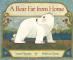 A Bear Far from Home