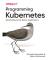 Programming Kubernetes
