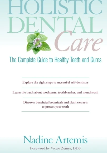 Holistic Dental Care (häftad, eng)
