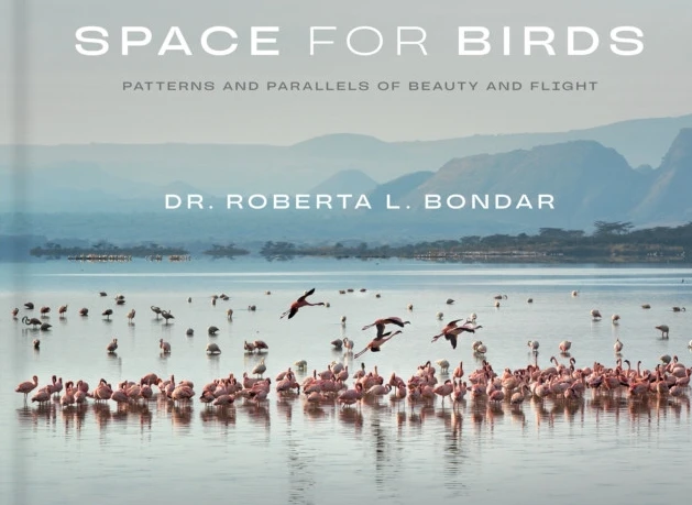 Space for Birds (inbunden, eng)