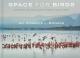 Space for Birds (inbunden, eng)