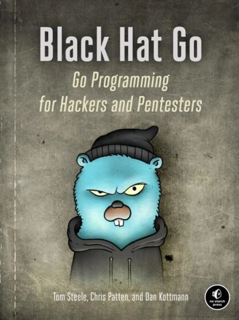 Black Hat Go (häftad, eng)