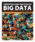 Principles and Practice of Big Data