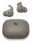 Apple Powerbeats Fit - Gravel Grey