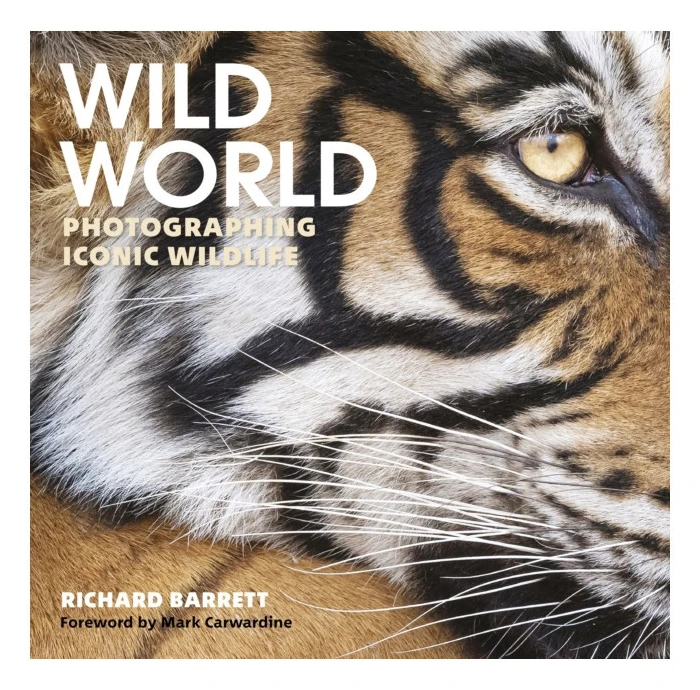 Wild World
