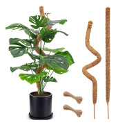 Mossapinnar 122 cm/63 cm (25 tum/48 tum), 2 st Böjbara Mossapinnar Utomhus Inomhus Klätterväxtstöd
