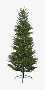 Star Trading - Julgran utomhus Malung, 200 cm - Grön - Dekorativ julbelysning - Från Homeroom