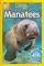 Manatees (National Geographic Kids Readers, Level 2)