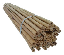 Bambuspinnar 180 cm 30/35 mm –10 st (DEKOR)