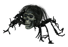 Skelett Spindel Prop